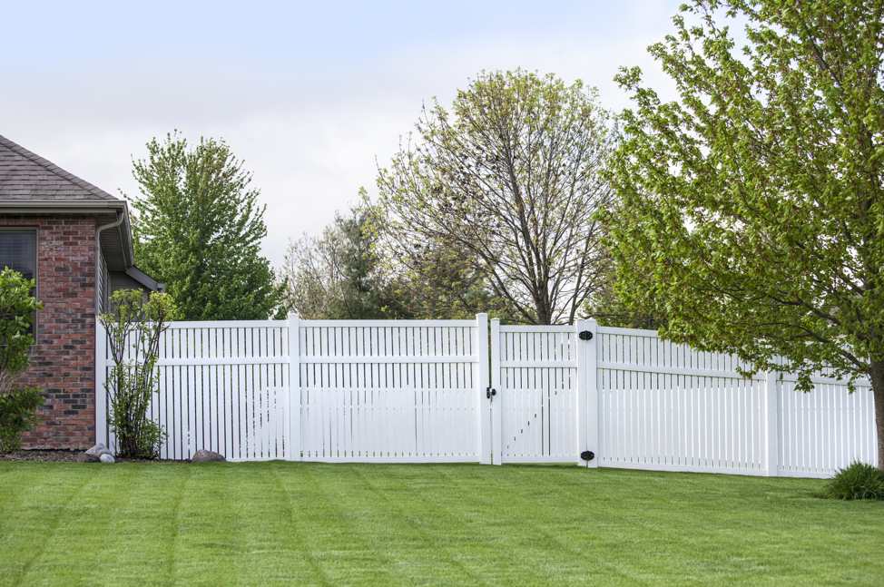 Buying Fence