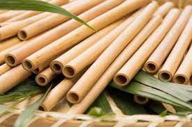 eco friendly paper sticks