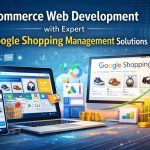 Ecommerce Web Development