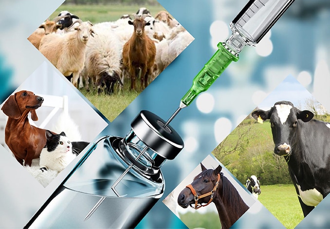 Veterinary Pharma Company